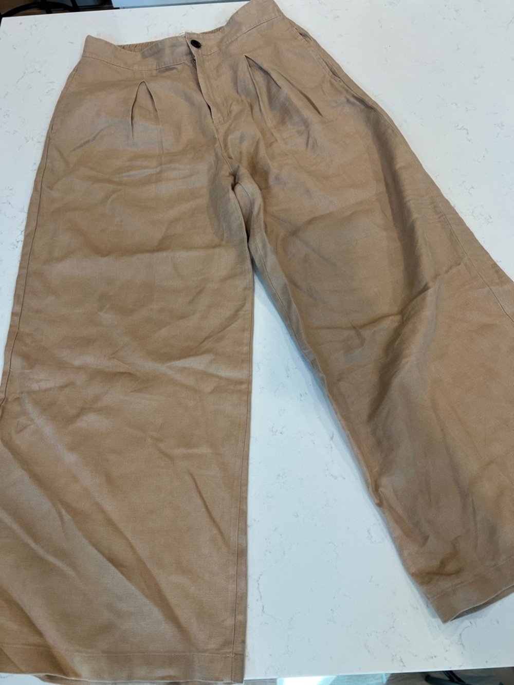 Halston Heritage Wide-Leg Pleated Chinos in Tan